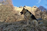 In GRIGNETTA (2177 m) ad anello Cresta Cermenati – Sentiero delle Capre dal Pian dei Resinelli il 27 marzo 2019 - FOTOGALLERY